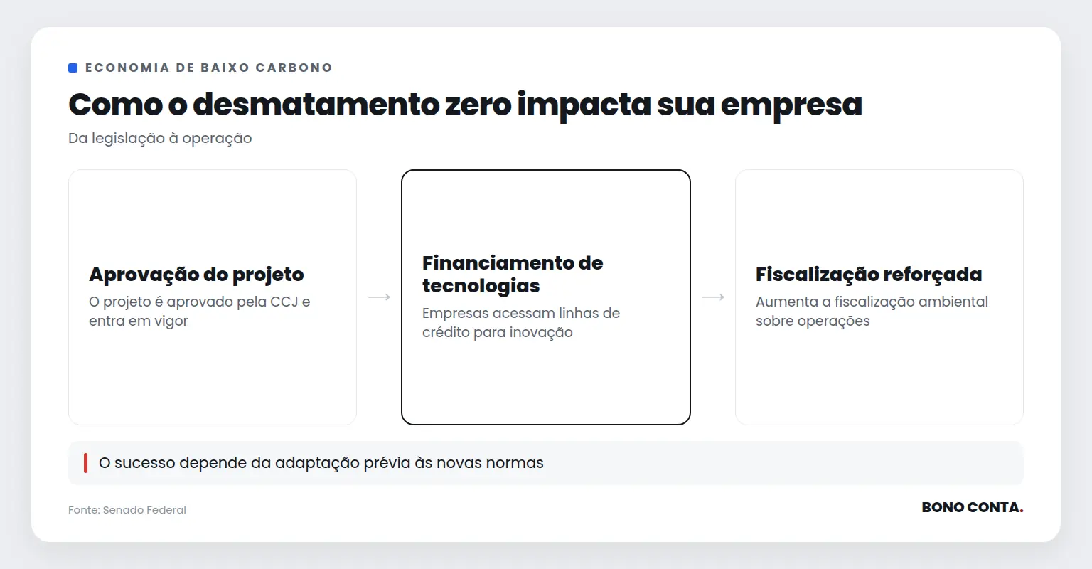 Descrição do impacto da política de desmatamento zero nas empresas | Bono Conta
