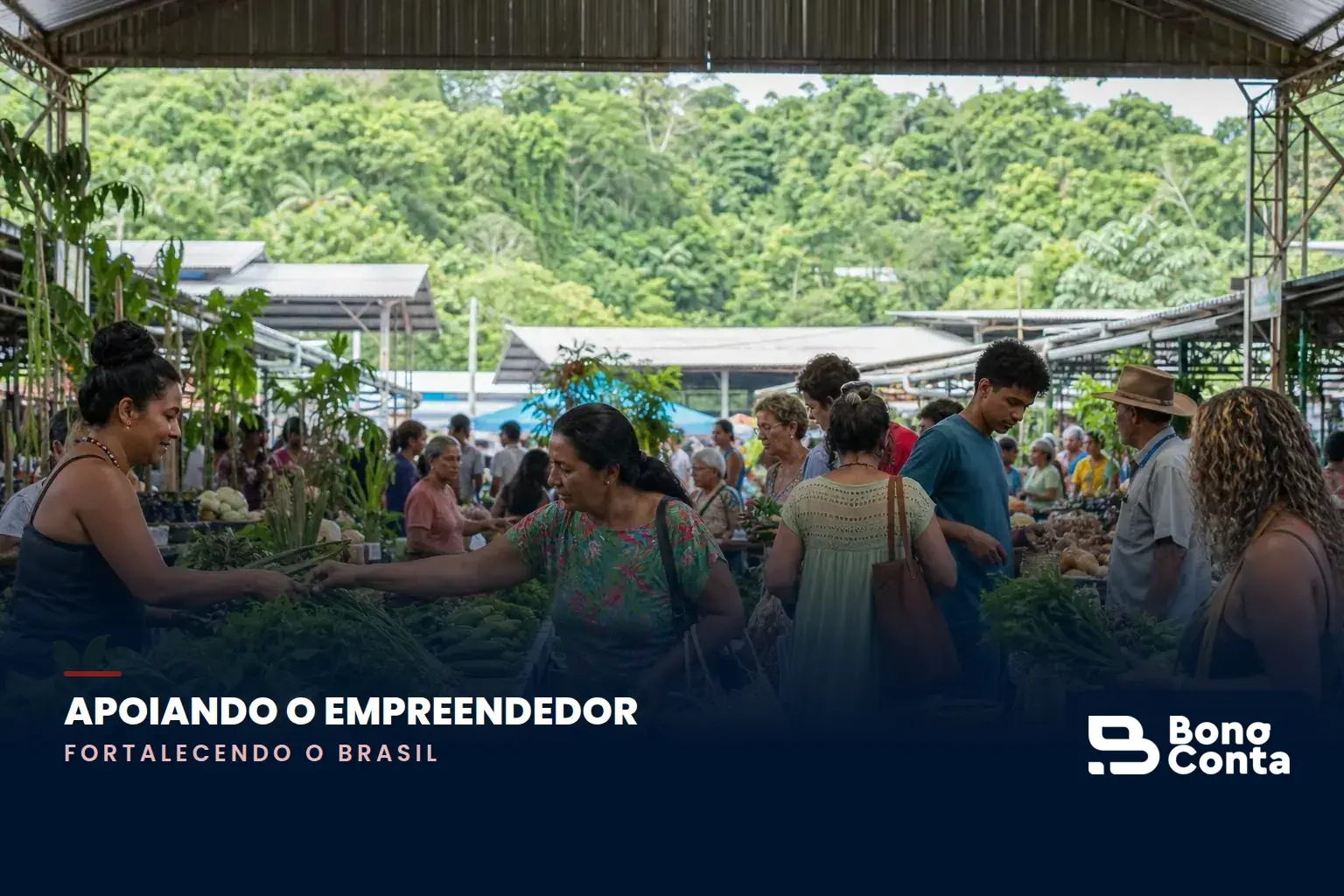 CCJ analisa projeto para incluir desmatamento zero na política climática | Bono Conta
