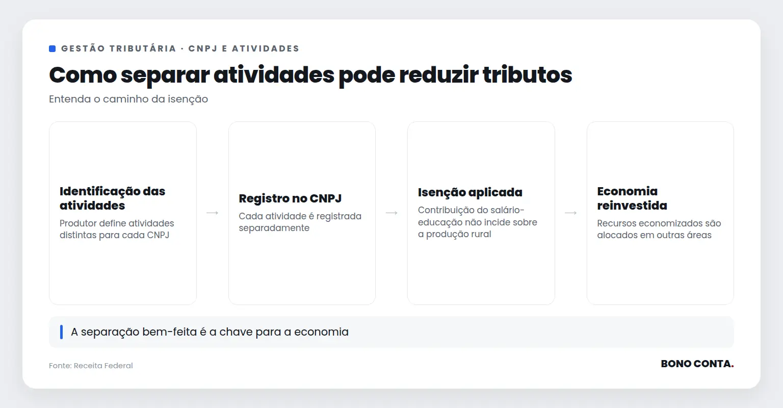 Fluxo mostrando como a separação de atividades econômicas em CNPJ pode reduzir tributos | Bono Conta